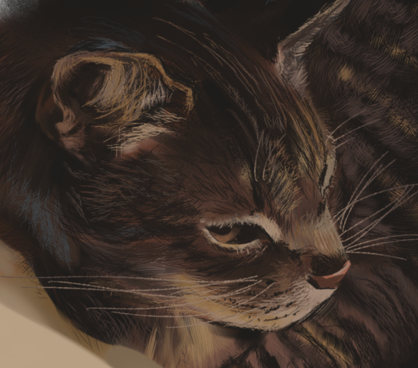 Close up of art of the artist's cat, showcasing the fur brushset used.